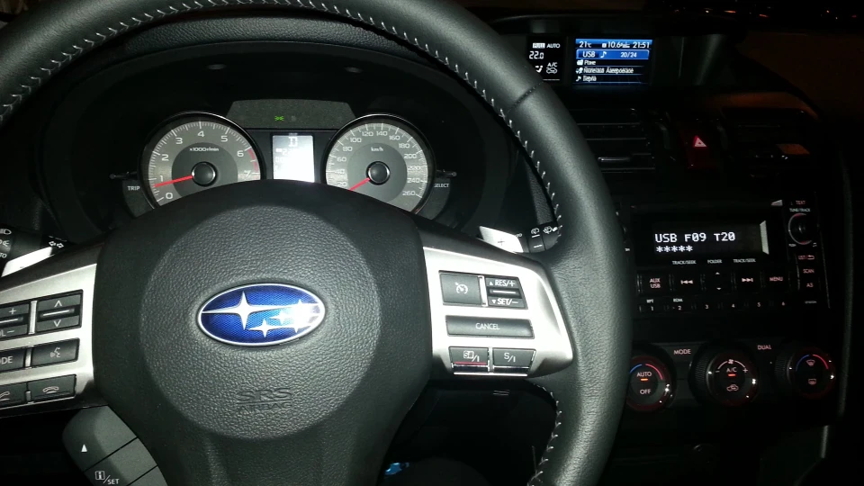 Subaru Forester Мязистий лісовик 2