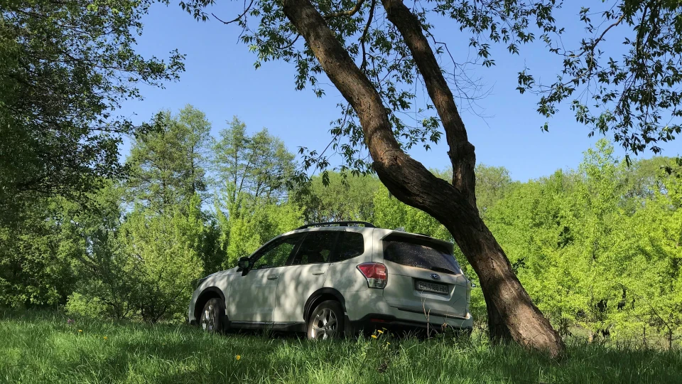 Subaru Forester Перламутровий Піноблок 5