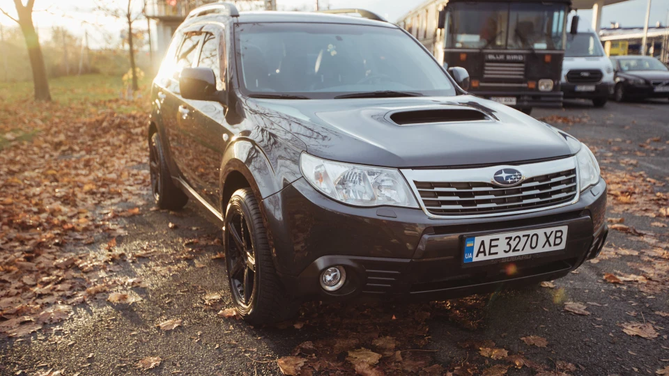 Subaru Forester Elephant 4