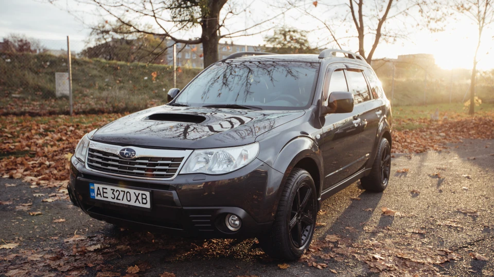 Subaru Forester Elephant