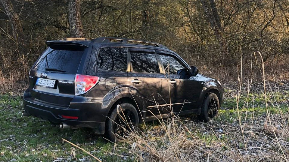 Subaru Forester Elephant 3