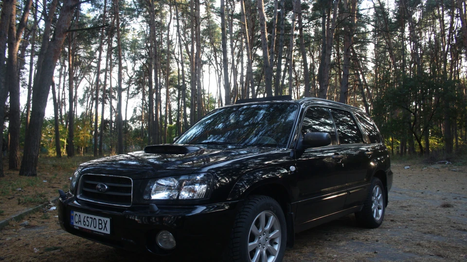 Subaru Forester Турбо-Обжора 2