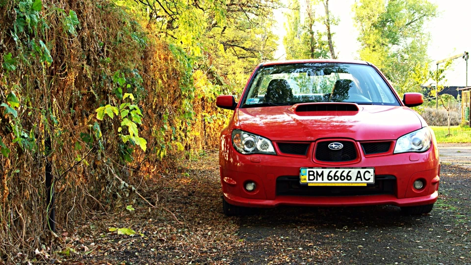 Subaru Impreza WRX "Red Fox" ㋡ 5