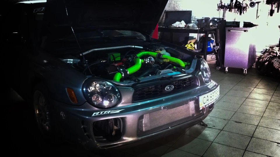 Subaru Impreza WRX Сірий кіт