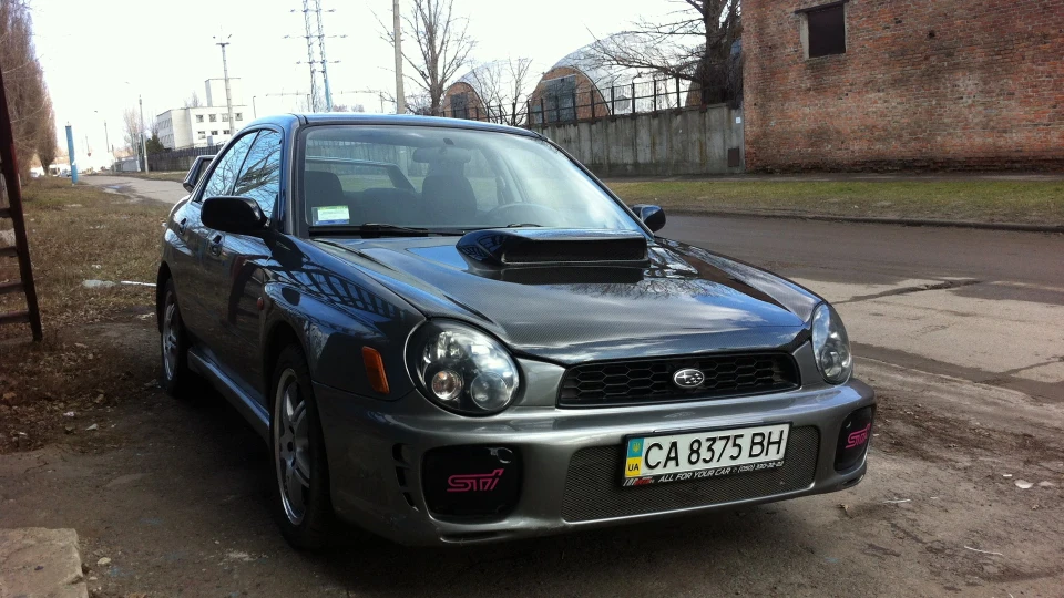 Subaru Impreza WRX Сірий кіт 4