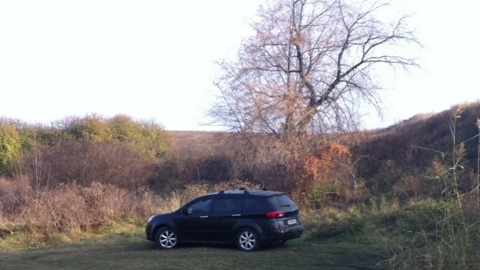 Subaru Tribeca B9 half-bloods 三 5