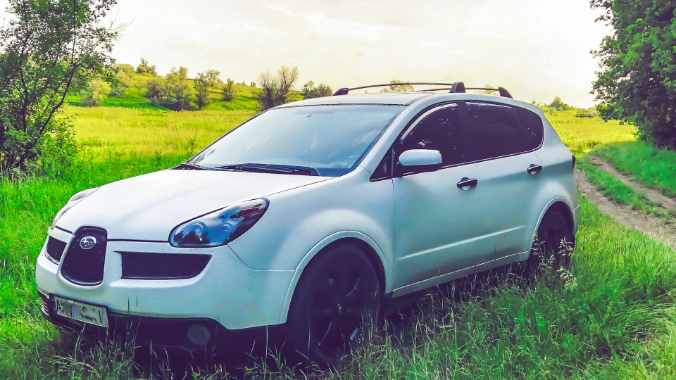 Subaru Tribeca "White Donbas"