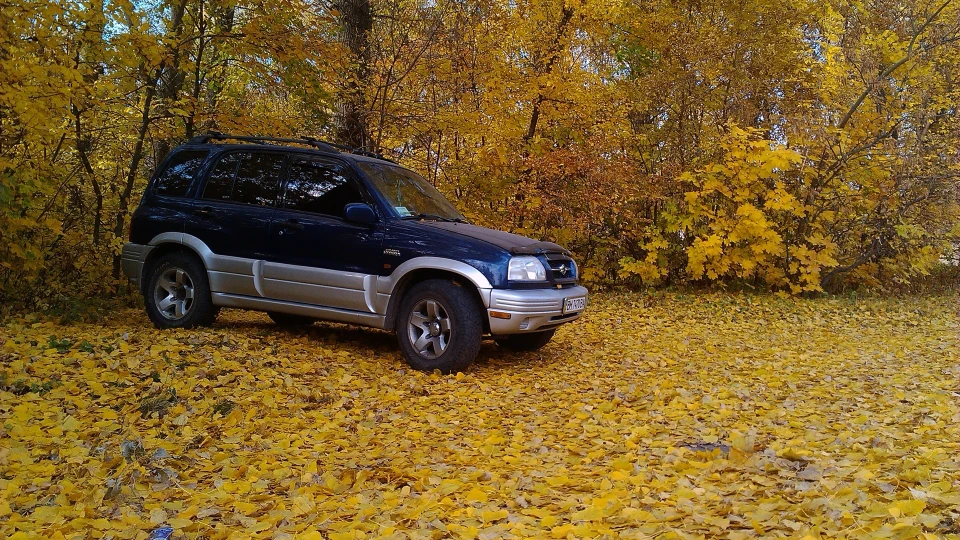 Suzuki Grand Vitara