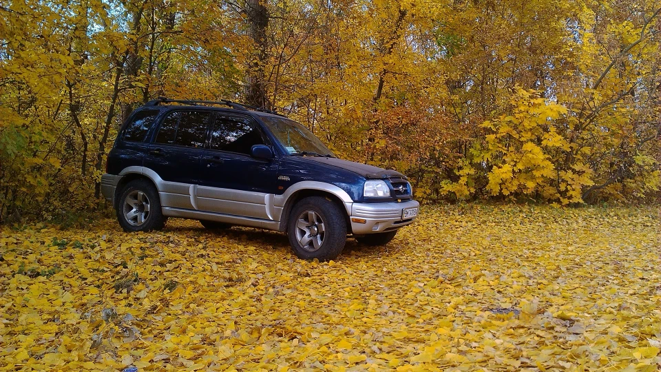Suzuki Grand Vitara 2
