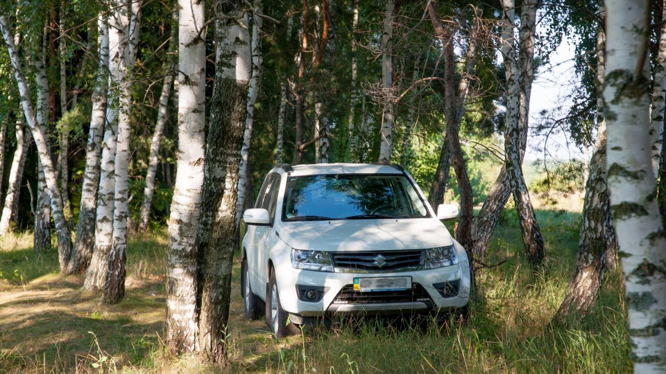 Suzuki Grand Vitara Кабанчик 2