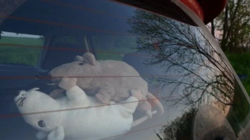 Suzuki Swift 3