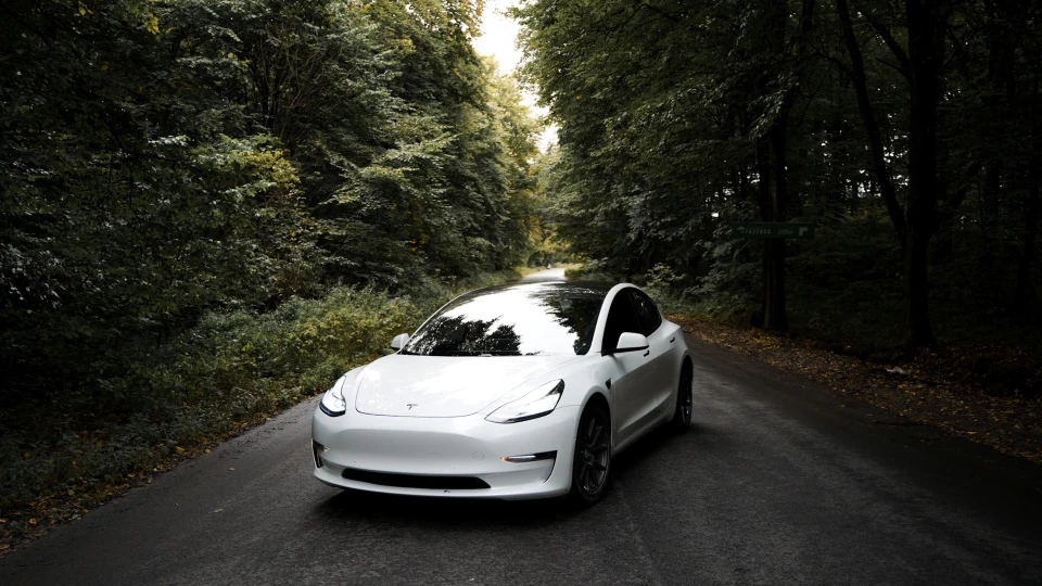 Tesla Model 3 Жаба Конструктор 4