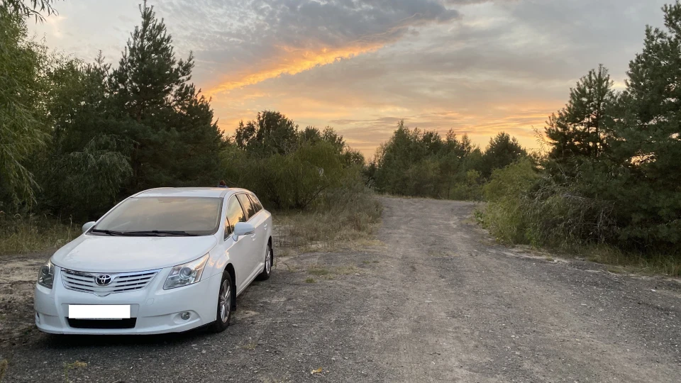 Toyota Avensis Барсик 4