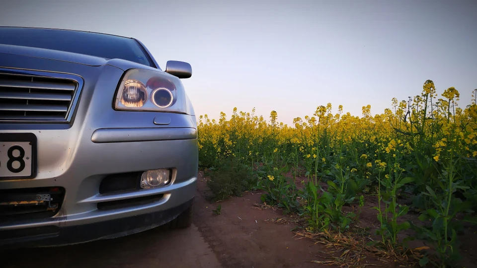 Toyota Avensis Дизельна крихта 3