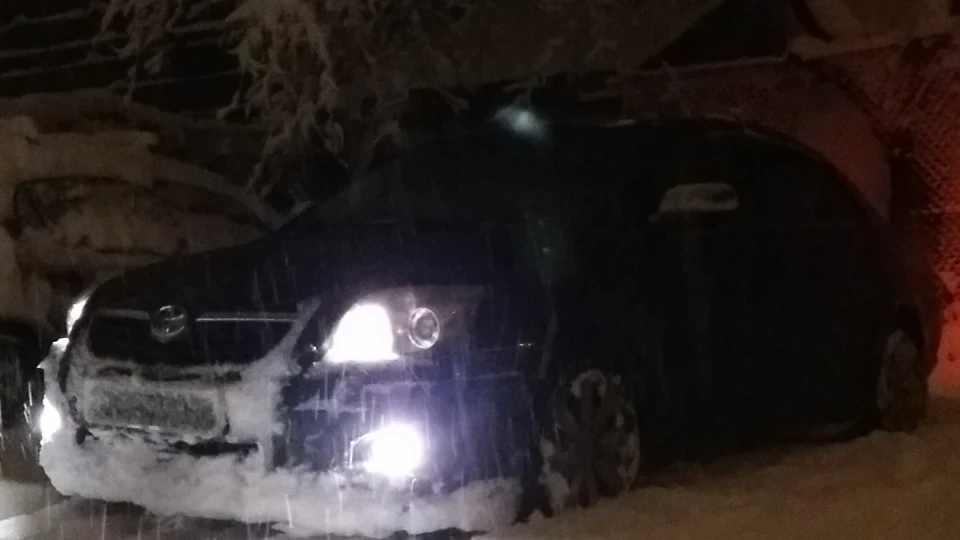 Toyota Avensis Веня 5