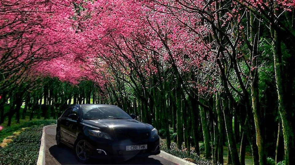 Toyota Camry 2.4МТ 310HP/411Hm LSGA 5
