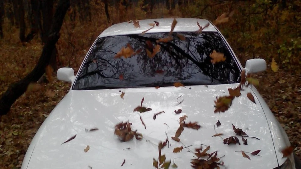 Toyota Camry Бізнес клас 5