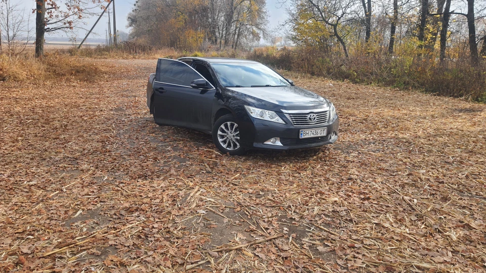Toyota Camry чорна корова