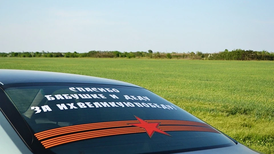 Toyota Camry Малосольний огірок 4