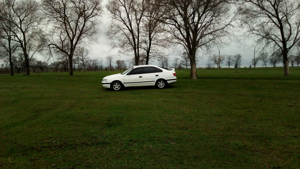 Toyota Carina E Білочка