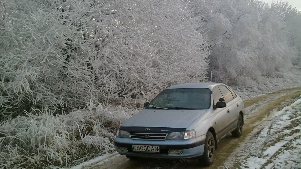 Toyota Carina E BOGDAN 3