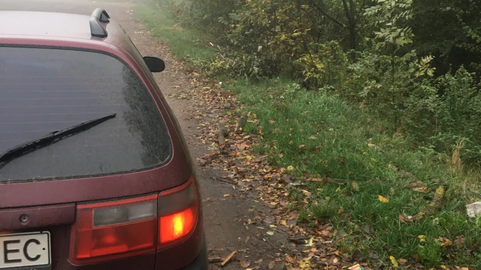 Toyota Carina E Бордове маля