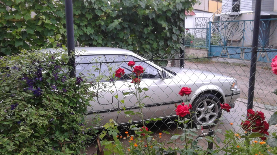Toyota Carina ED 5