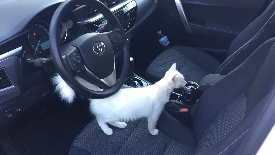 Toyota Corolla 5