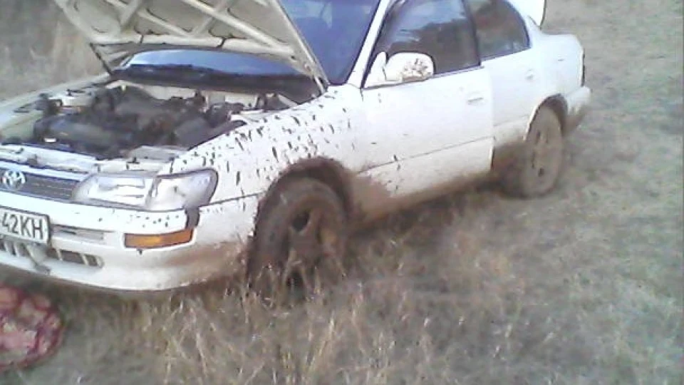 Toyota Corolla 2
