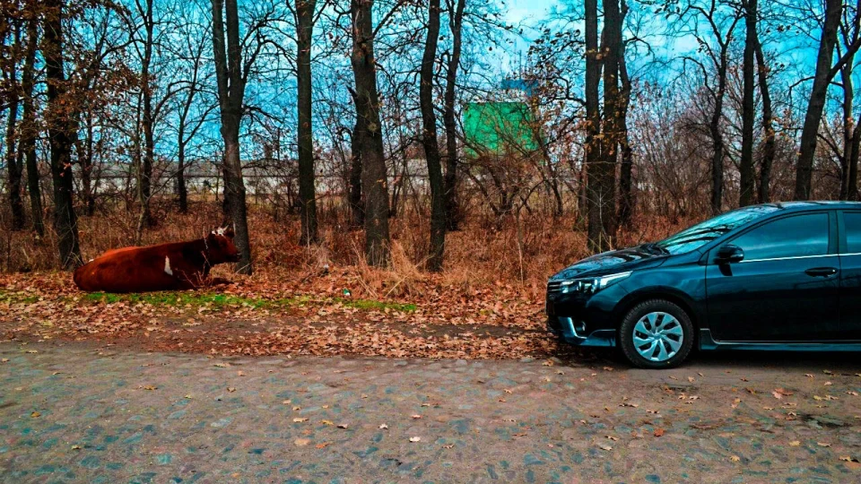 Toyota Corolla Active 3