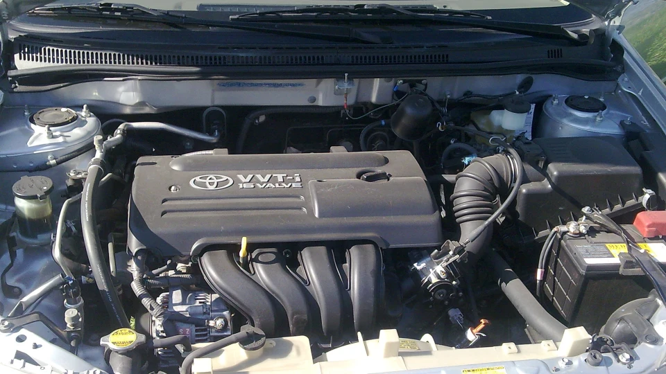 Toyota Corolla чистокровний араб 3