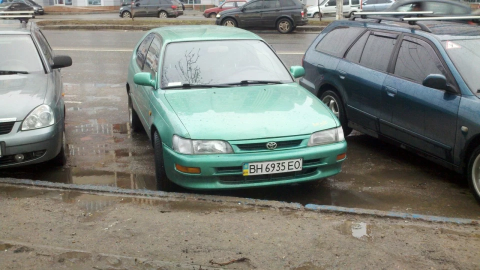 Toyota Corolla Дочка Самурая