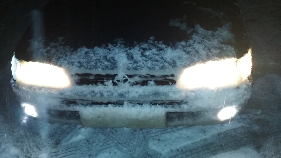 Toyota Corolla IZUMRUD 3