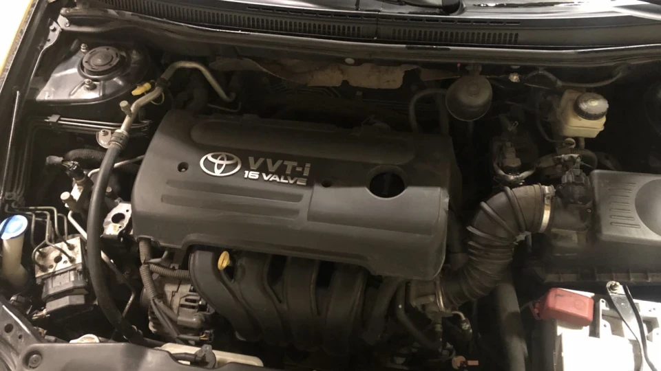 Toyota Corolla Койота 3