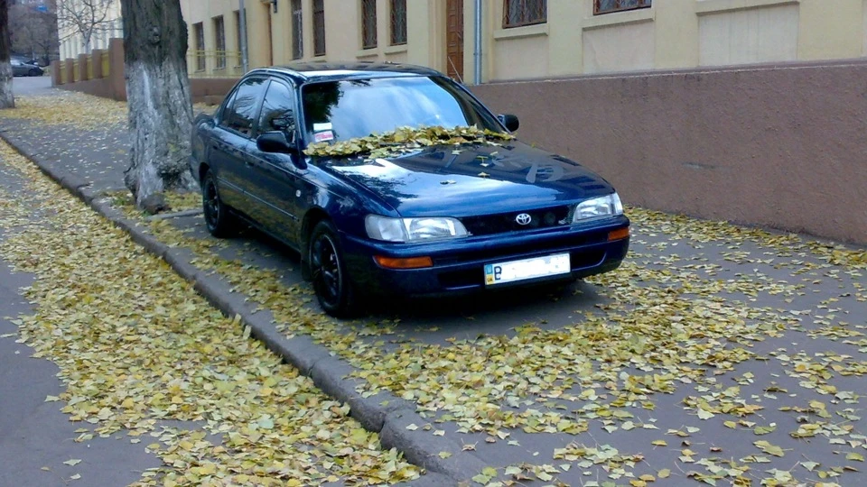 Toyota Corolla Пошарпана життям 4