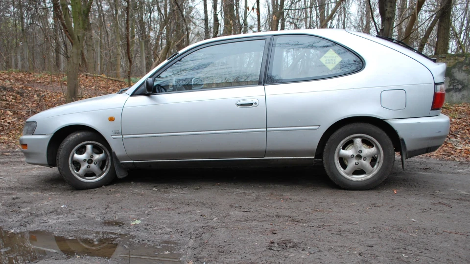 Toyota Corolla Сіра черепашка 3