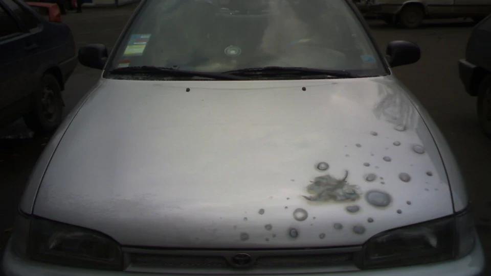Toyota Corolla сіра мишка