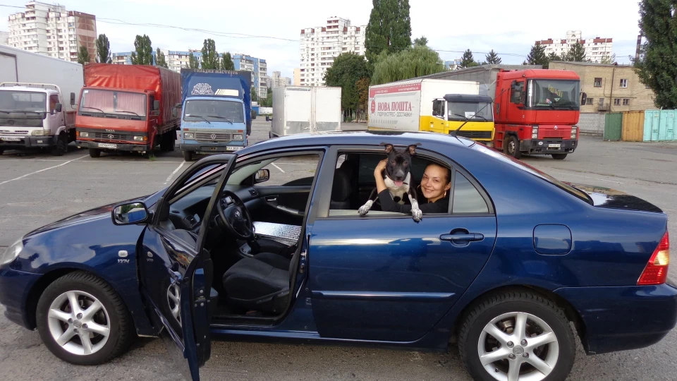 Toyota Corolla синій перламутр 1,6