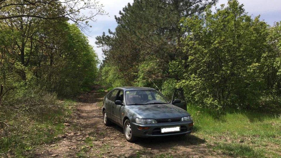 Toyota Corolla XLI 2