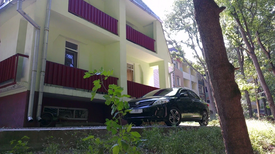 Toyota Corolla засмагла японка 3
