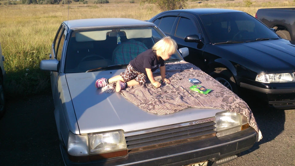 Toyota Corona Колір Сріблястий металік 3