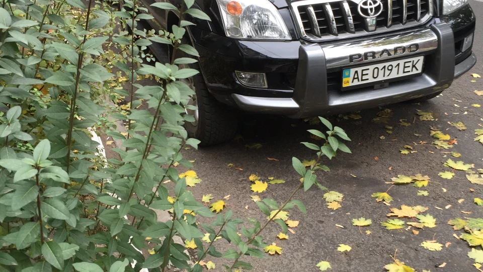 Toyota Land Cruiser Prado 2.7L арабський скакун 3