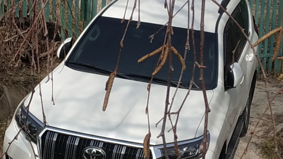 Toyota Land Cruiser Prado Біла сила 3