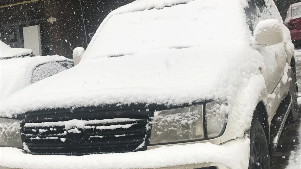 Toyota Land Cruiser 2