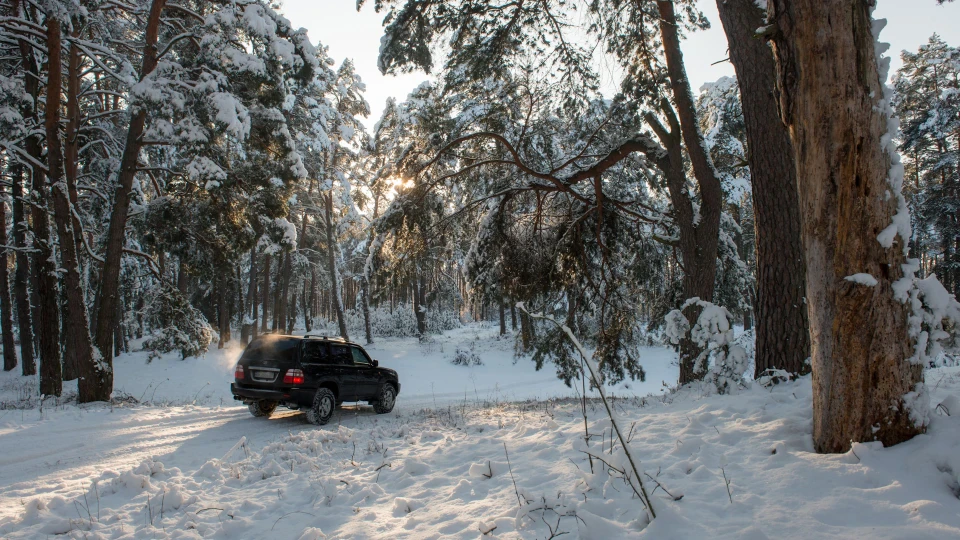 Toyota Land Cruiser 5
