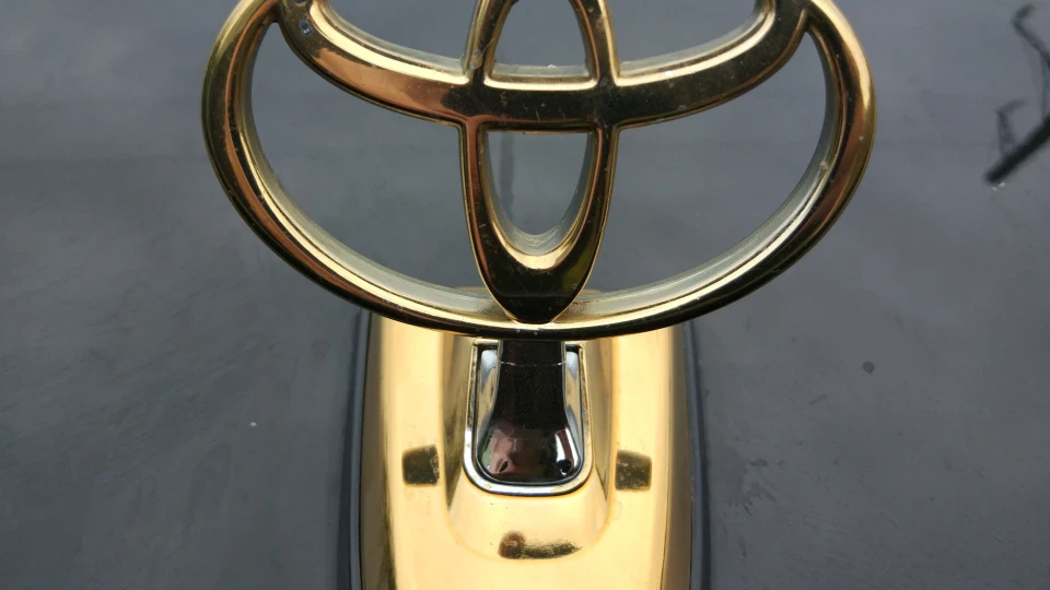 Toyota Land Cruiser Арабська Траглодит 5