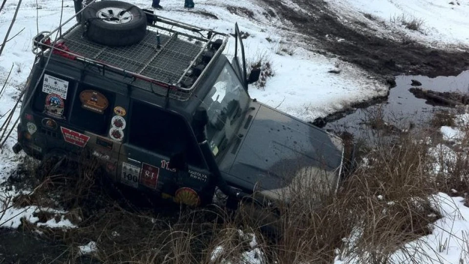 Toyota Land Cruiser Смугастий 4