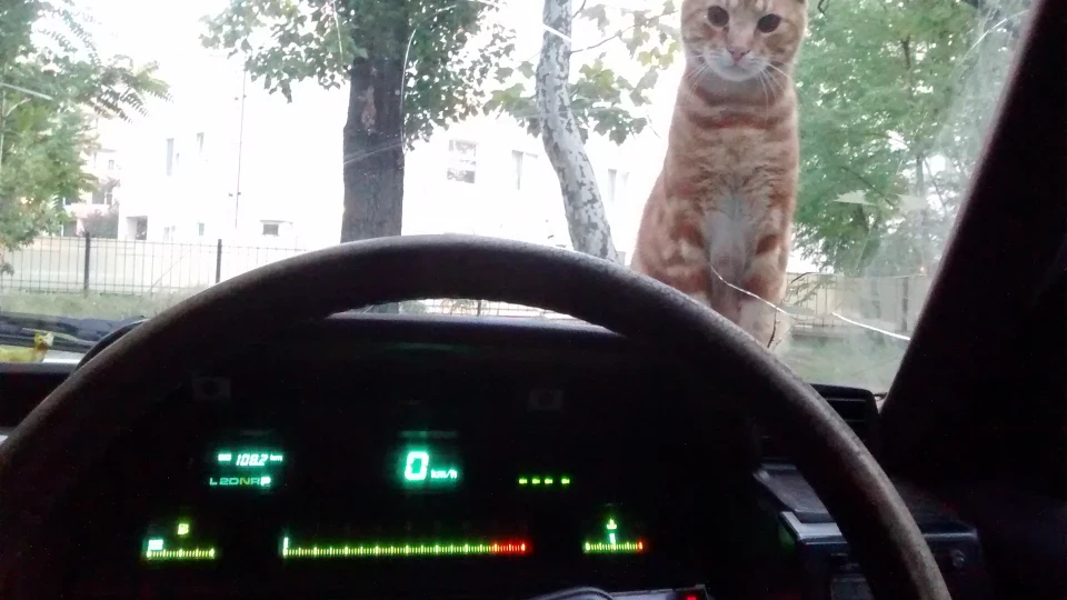 Toyota Mark II Маркінштейн живий! 3