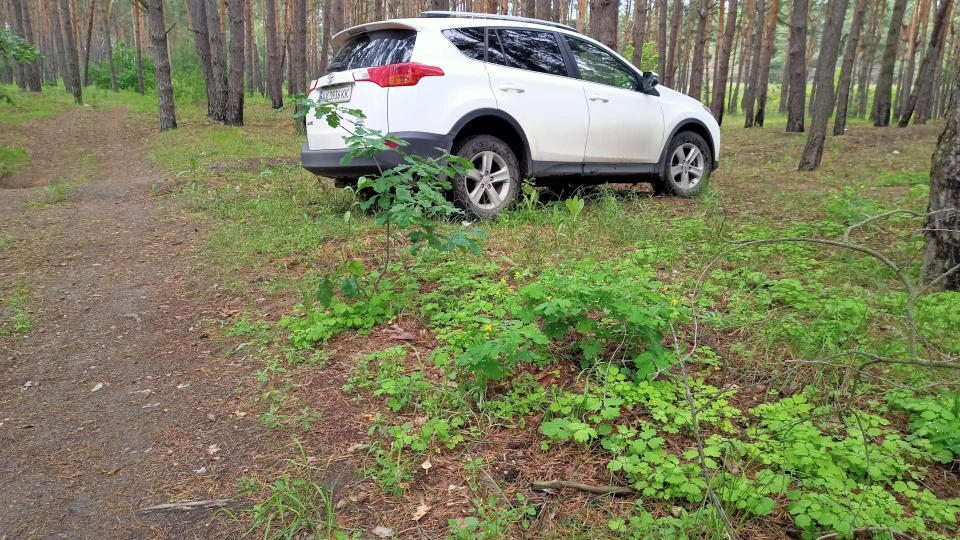 Toyota RAV4 from Maryland with love 4