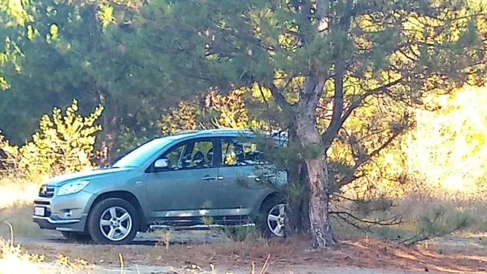 Toyota RAV4 Rafik